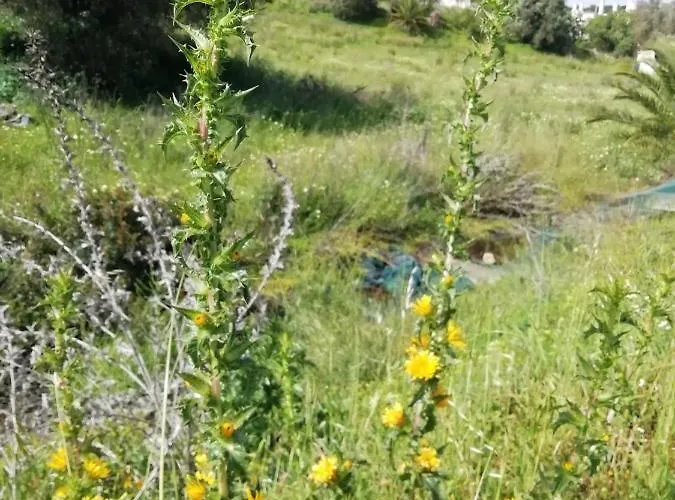 Vau Sea View, T2 Apartment, Close To Beach,ideal For Families Appartamento Portimão