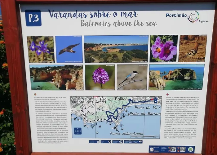 Vau Sea View, T2 Apartment, Close To Beach,ideal For Families * Portimão