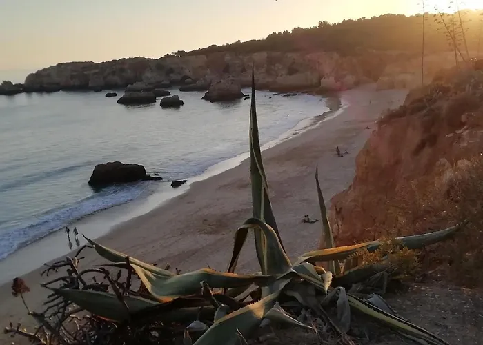 Appartement Vau Sea View, T2 Apartment, Close To Beach,ideal For Families *