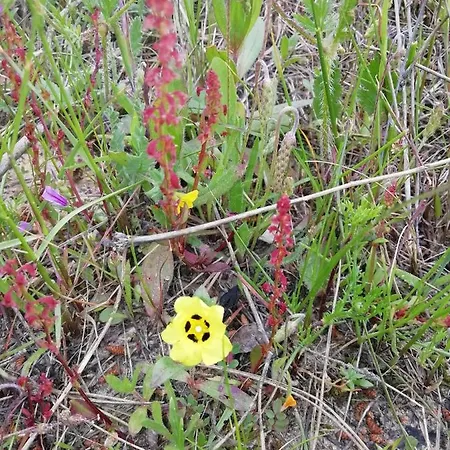 Vau Sea View, T2 Apartment, Close To Beach,ideal For Families * Portimão