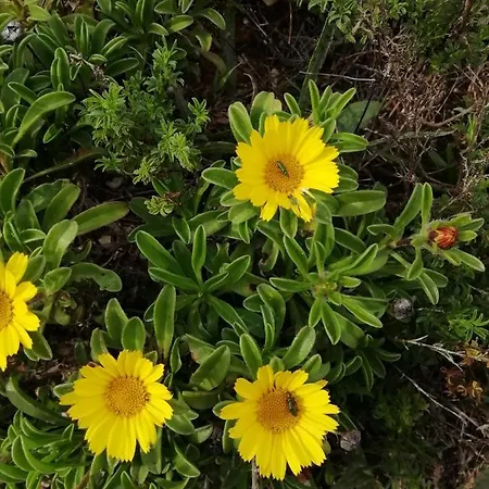 Vau Sea View, T2 Apartment, Close To Beach,ideal For Families Appartement Portimão