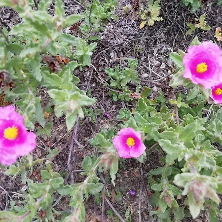 Appartement Vau Sea View, T2 Apartment, Close To Beach,ideal For Families Portimão