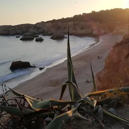 Appartement Vau Sea View, T2 Apartment, Close To Beach,ideal For Families *