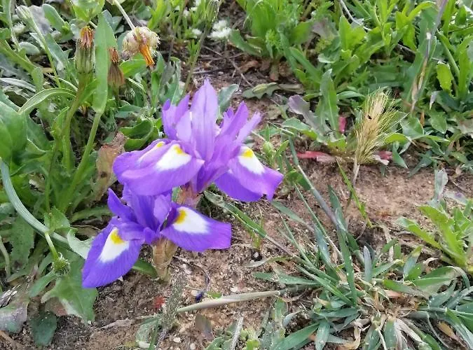 Apartamento Vau Sea View, T2 Apartment, Close To Beach,ideal For Families Portimão