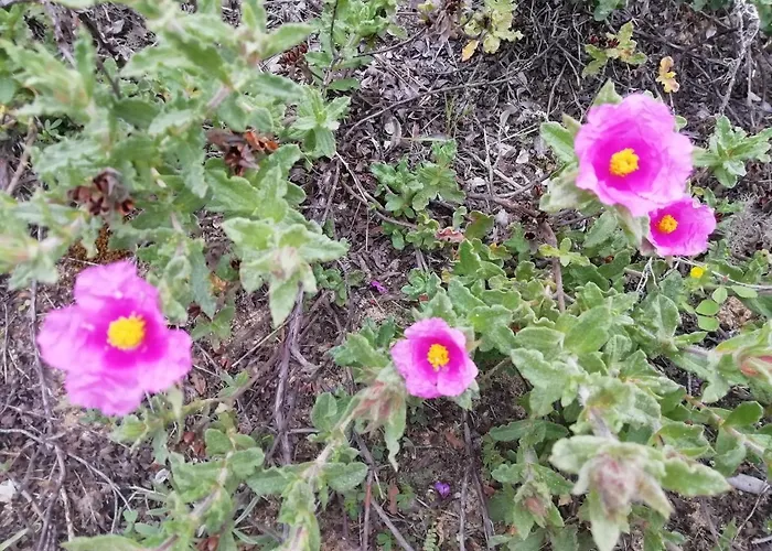 Apartamento Vau Sea View, T2 Apartment, Close To Beach,ideal For Families Portimão