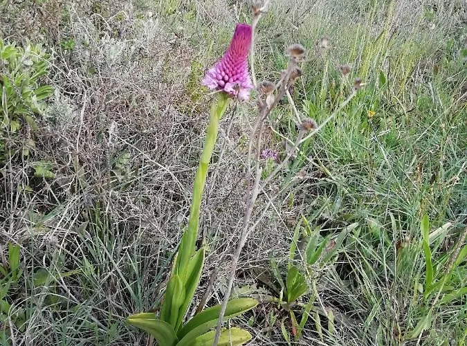 Apartamento Vau Sea View, T2 Apartment, Close To Beach,ideal For Families