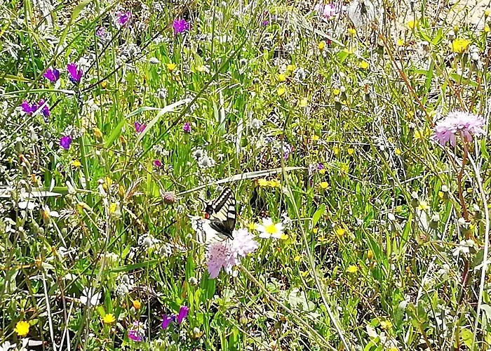 Vau Sea View, T2 Apartment, Close To Beach,ideal For Families * Portimão