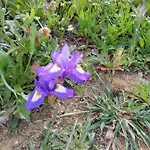 アパート Vau Sea View, T2 Apartment, Close To Beach,ideal For Families ポルティマン