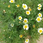 Vau Sea View, T2 Apartment, Close To Beach,ideal For Families