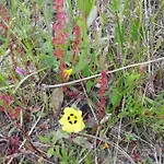 Vau Sea View, T2 Apartment, Close To Beach,ideal For Families * ポルティマン