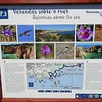 Vau Sea View, T2 Apartment, Close To Beach,ideal For Families * ポルティマン