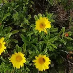 Vau Sea View, T2 Apartment, Close To Beach,ideal For Families Apartment Portimão