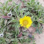 Vau Sea View, T2 Apartment, Close To Beach,ideal For Families * Portimão