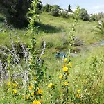 Vau Sea View, T2 Apartment, Close To Beach,ideal For Families Apartment Portimão