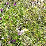 Vau Sea View, T2 Apartment, Close To Beach,ideal For Families * Portimão